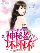 闪婚蜜爱神密老公