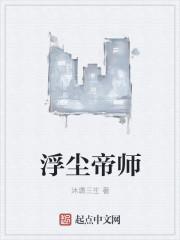 浮尘等级
