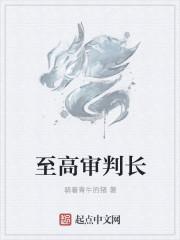 最高法审判长