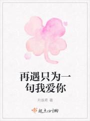 再遇你 再爱你
