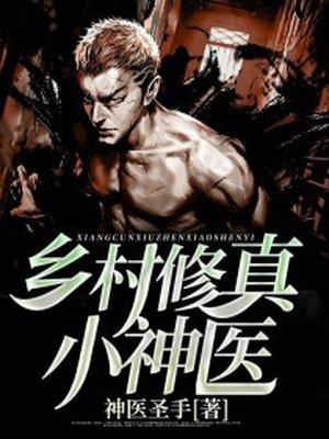 乡村修真小神医周风全集