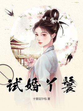 试婚丫鬟的npc古言
