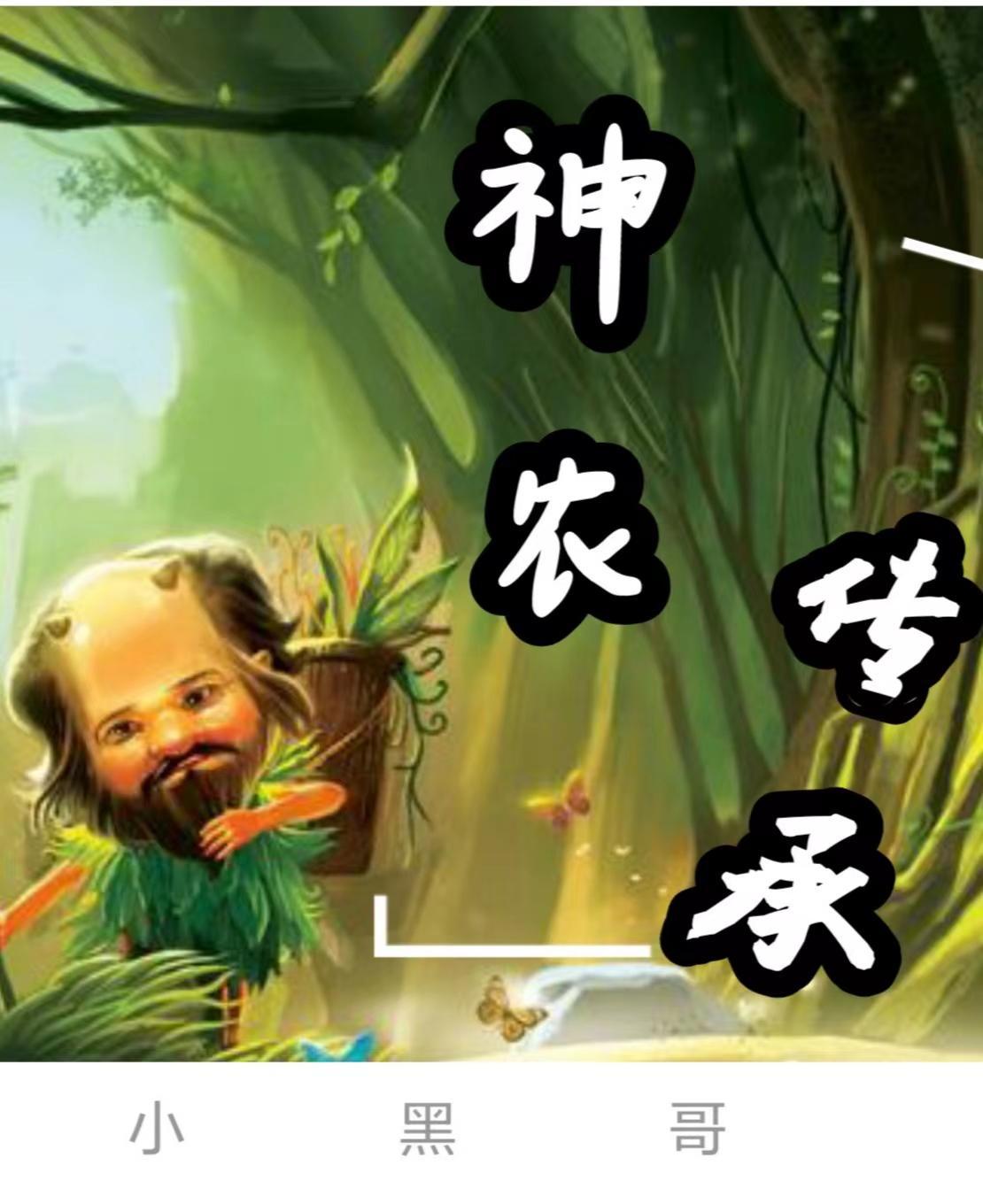 神农传承混都市免费阅读