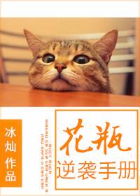 花瓶女主逆袭之路