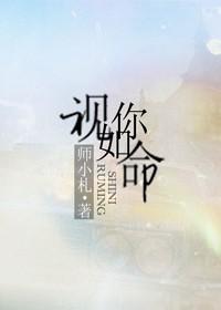 视你如命师小札大结局
