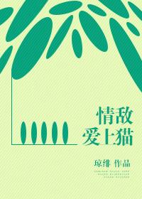 情敌爱上我电视剧