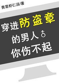 穿到防盗章