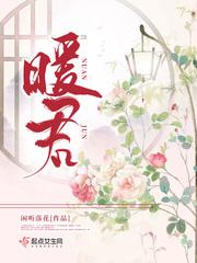 暖君番外婚后生活TXT