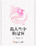 什么是人生中的过客