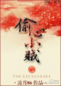 偷心小贼作品