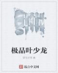 主角叶少峰