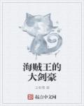 海贼王的大剑豪TXT百度资源
