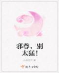 邪帝别乱宠免费全文阅读
