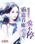 污力总裁别惹我书包