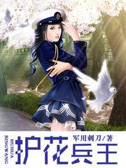 护花兵王动漫全集免费观看