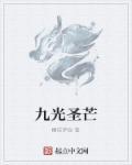 九圣光出装
