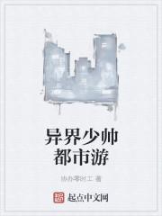 都市少帅 顶点