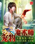 宠物捕捉魔法师
