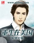 重生在美国做脸书的