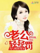 名门老公轻轻爱书包网