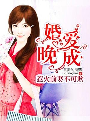 婚爱完成