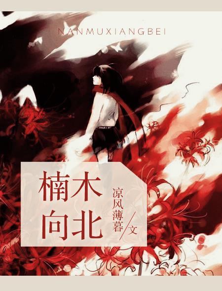 楠木向北陆祈喜欢南慕吗