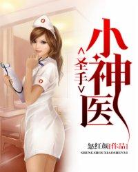 圣手小神医扬凡