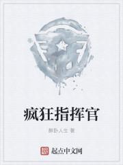 疯狂指挥官2在线观看免费高清