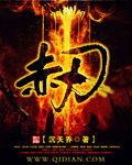 赤刃v