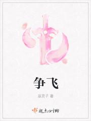 争飞的解释