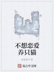 不想养猫怎么办?