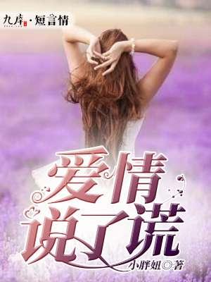 爱情说了谎歌词 孙莞