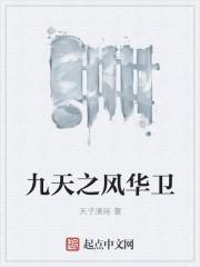 九天之巅是什么意思