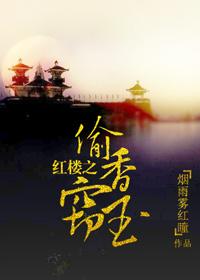 红楼之偷香窃玉烟雨雾红瞳