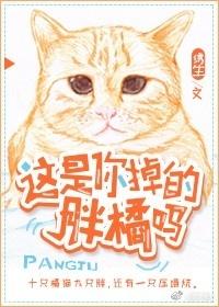 这是你掉的胖橘么