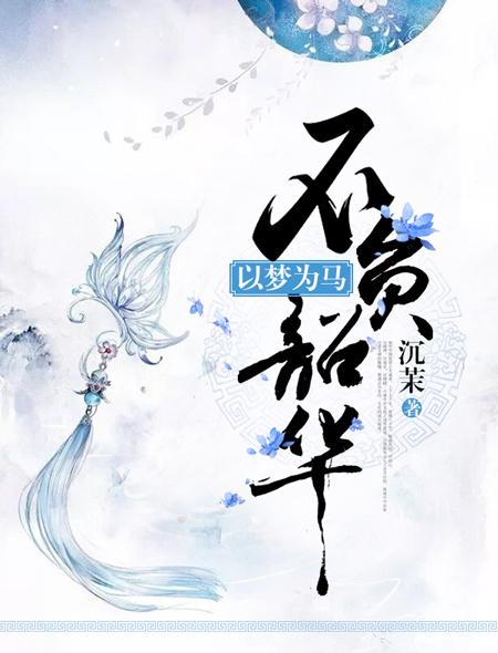 以梦为马不负昭华文章
