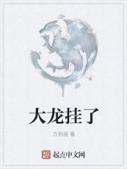 大龙挂了是后宫吗
