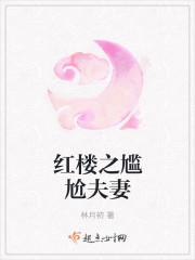 红楼之尴尬夫妻免费阅读