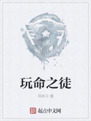 玩命之徒近义词