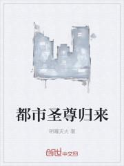 都市圣尊归来(明曜天火)