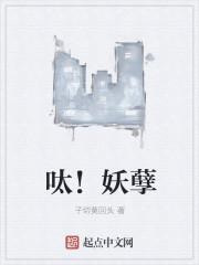 呔妖孽是什么意思