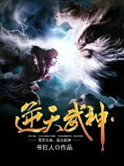 逆天武神书狂人点评