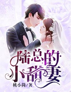 陆总裁宠溺小甜妻