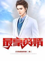 最豪赘婿人物介绍