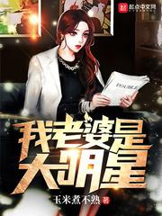 我老婆是大明星by振笔疾书TXT宝书网