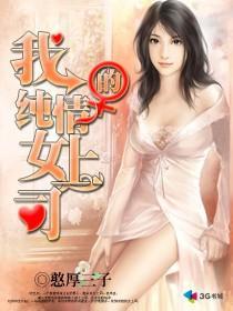 超级护卫叶天羽和许晴