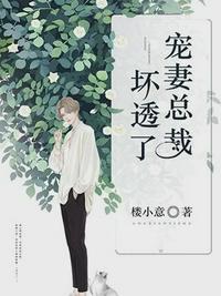 沐暖暖慕霆枭全集免费