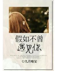 假如不曾遇到你