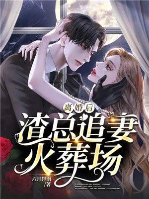 离婚后渣总追妻火葬场宋景深