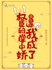 南宝衣重生后我成了权臣的掌中娇 番外